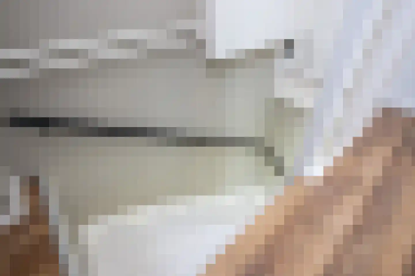 Koolmees 107 Sommelsdijk thumbnail 19
