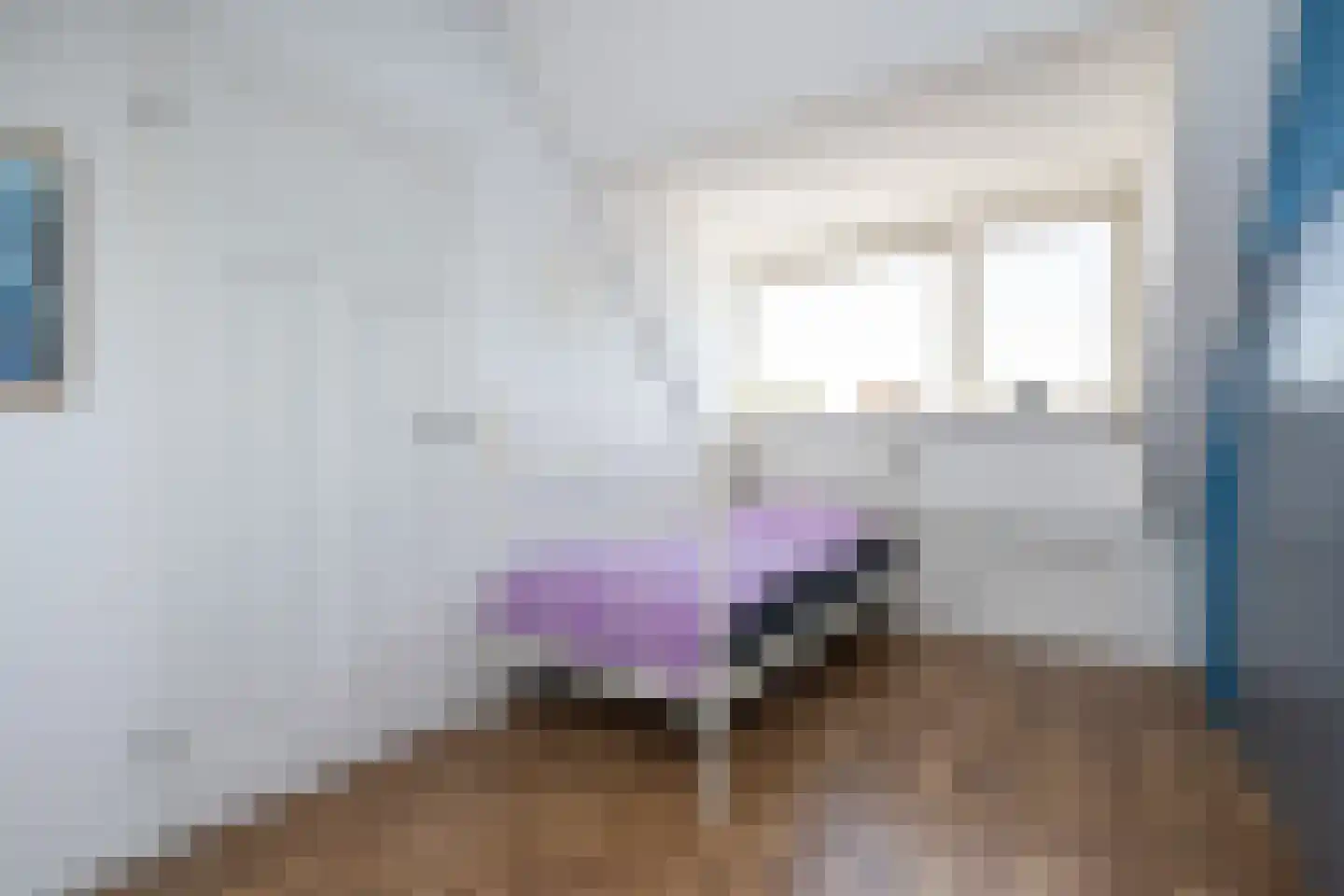 Koolmees 107 Sommelsdijk thumbnail 20