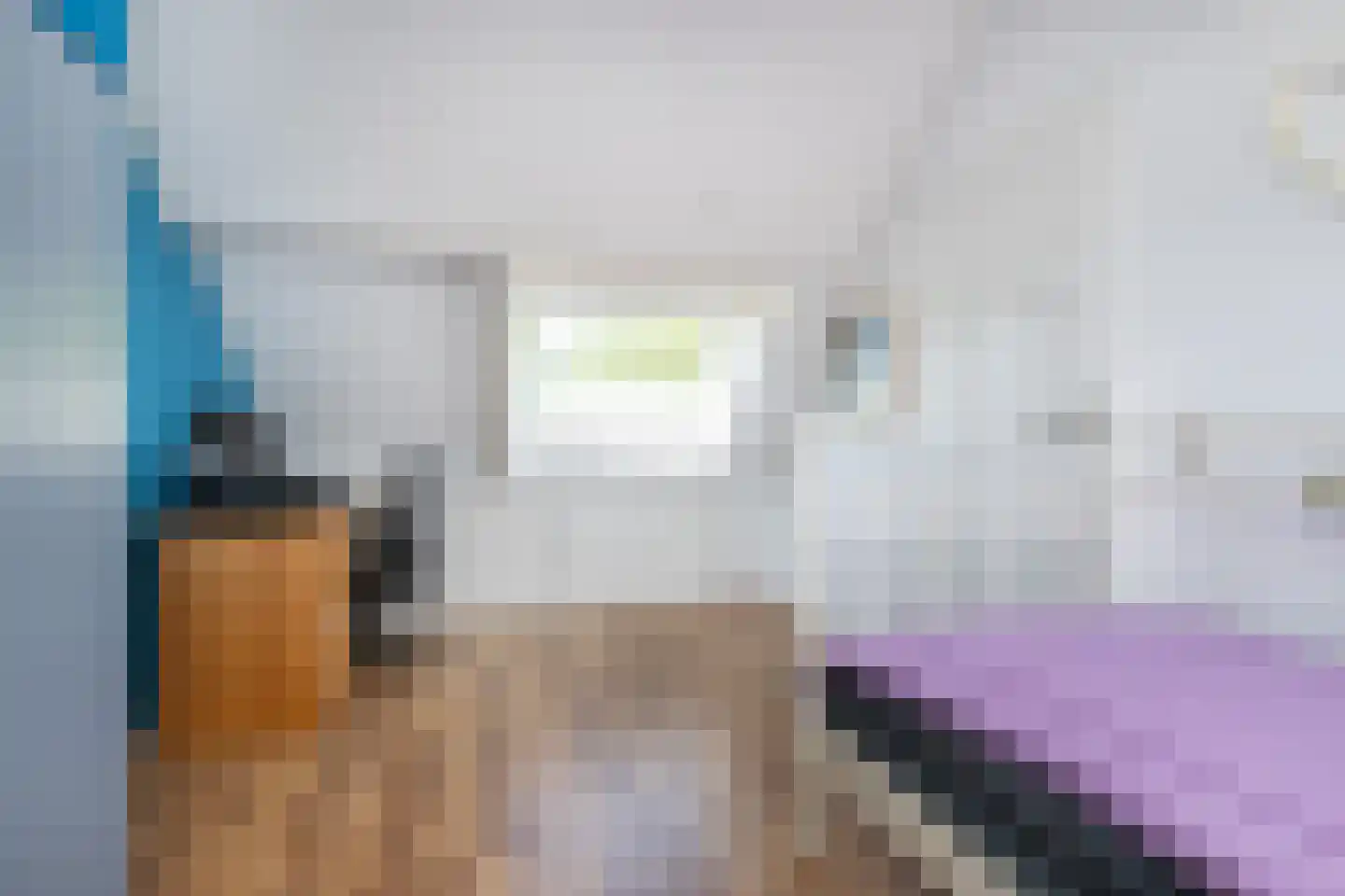 Koolmees 107 Sommelsdijk thumbnail 21