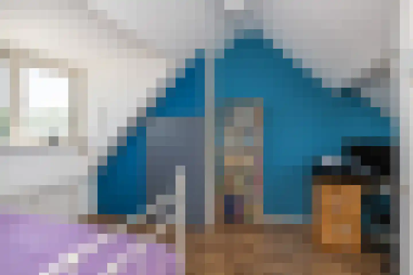 Koolmees 107 Sommelsdijk thumbnail 22