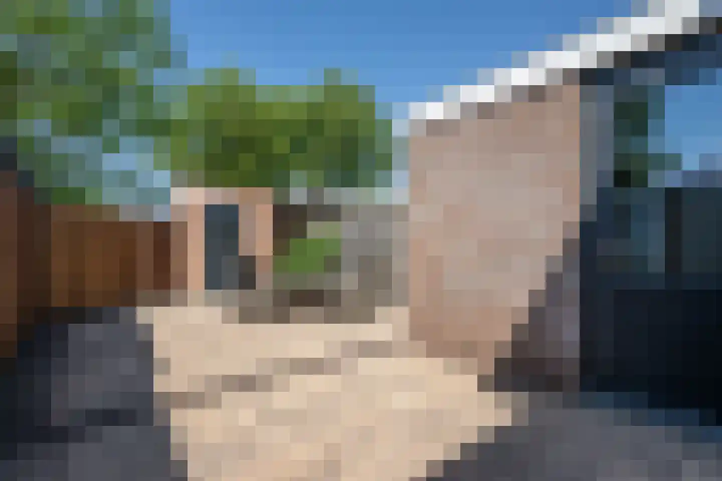 Koolmees 107 Sommelsdijk thumbnail 23