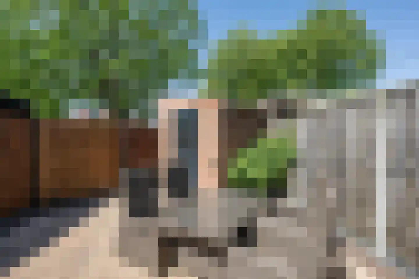 Koolmees 107 Sommelsdijk thumbnail 24