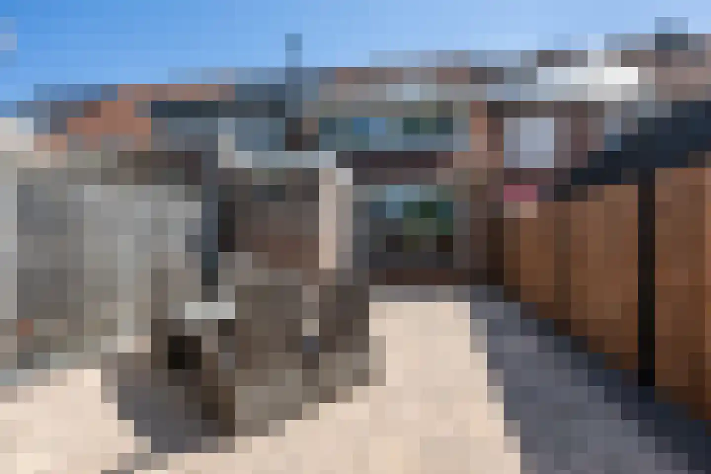 Koolmees 107 Sommelsdijk thumbnail 25