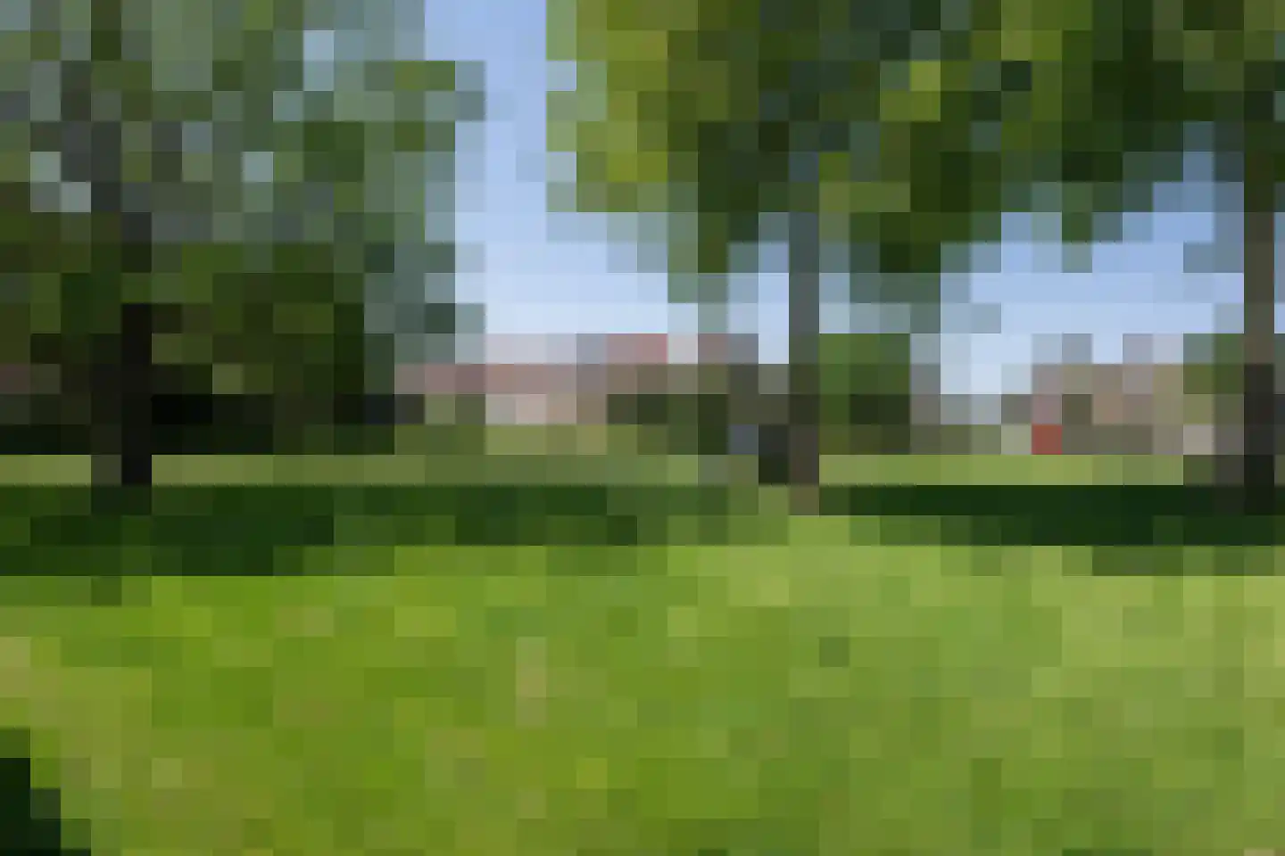 Koolmees 107 Sommelsdijk thumbnail 26