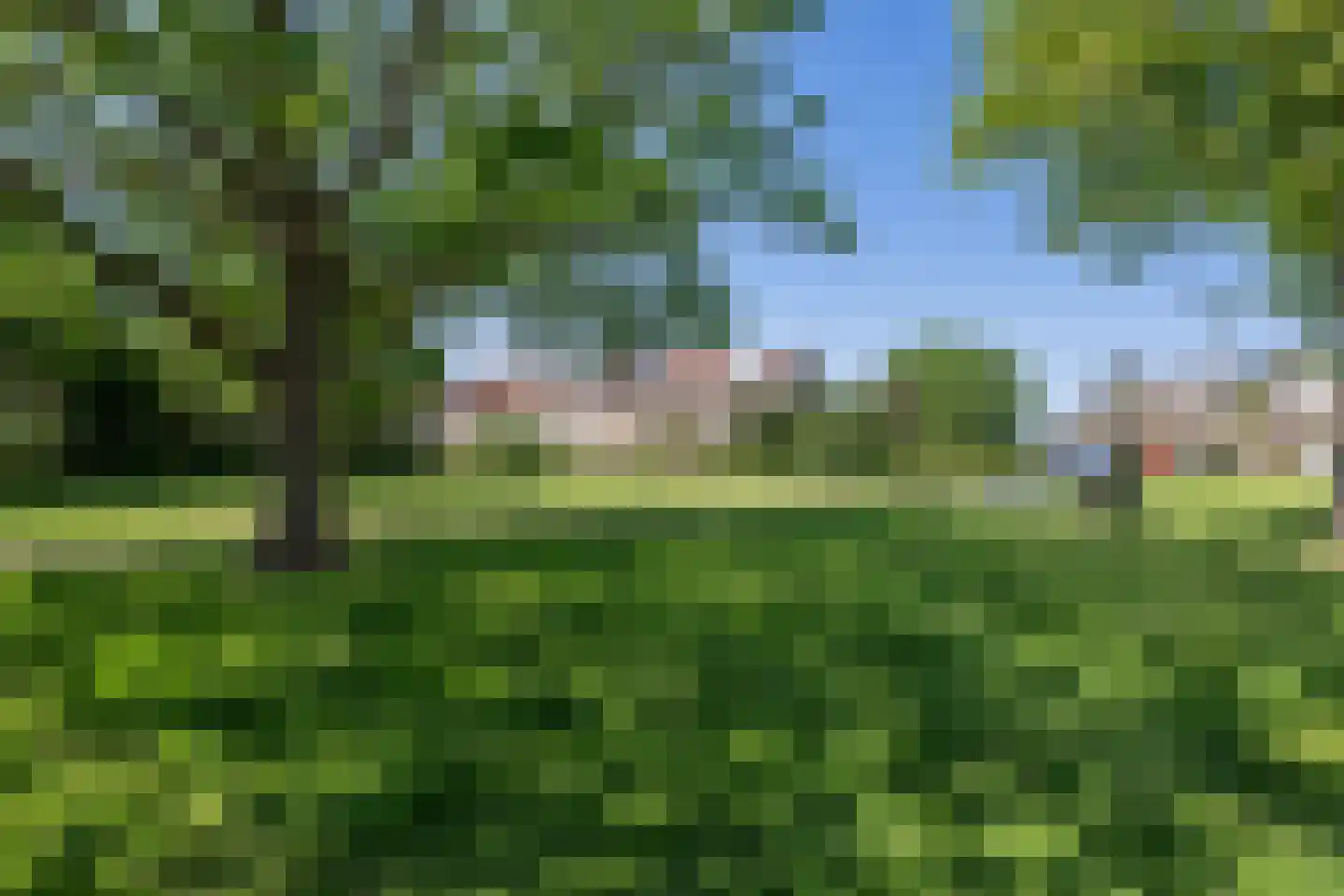 Koolmees 107 Sommelsdijk thumbnail 27