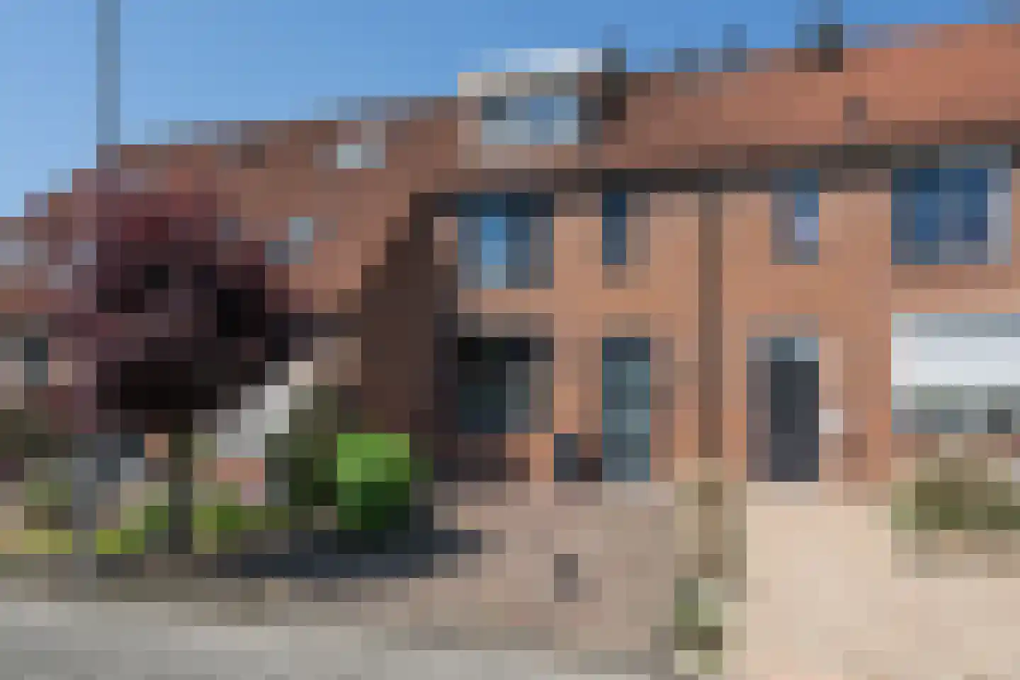 Koolmees 107 Sommelsdijk thumbnail 28