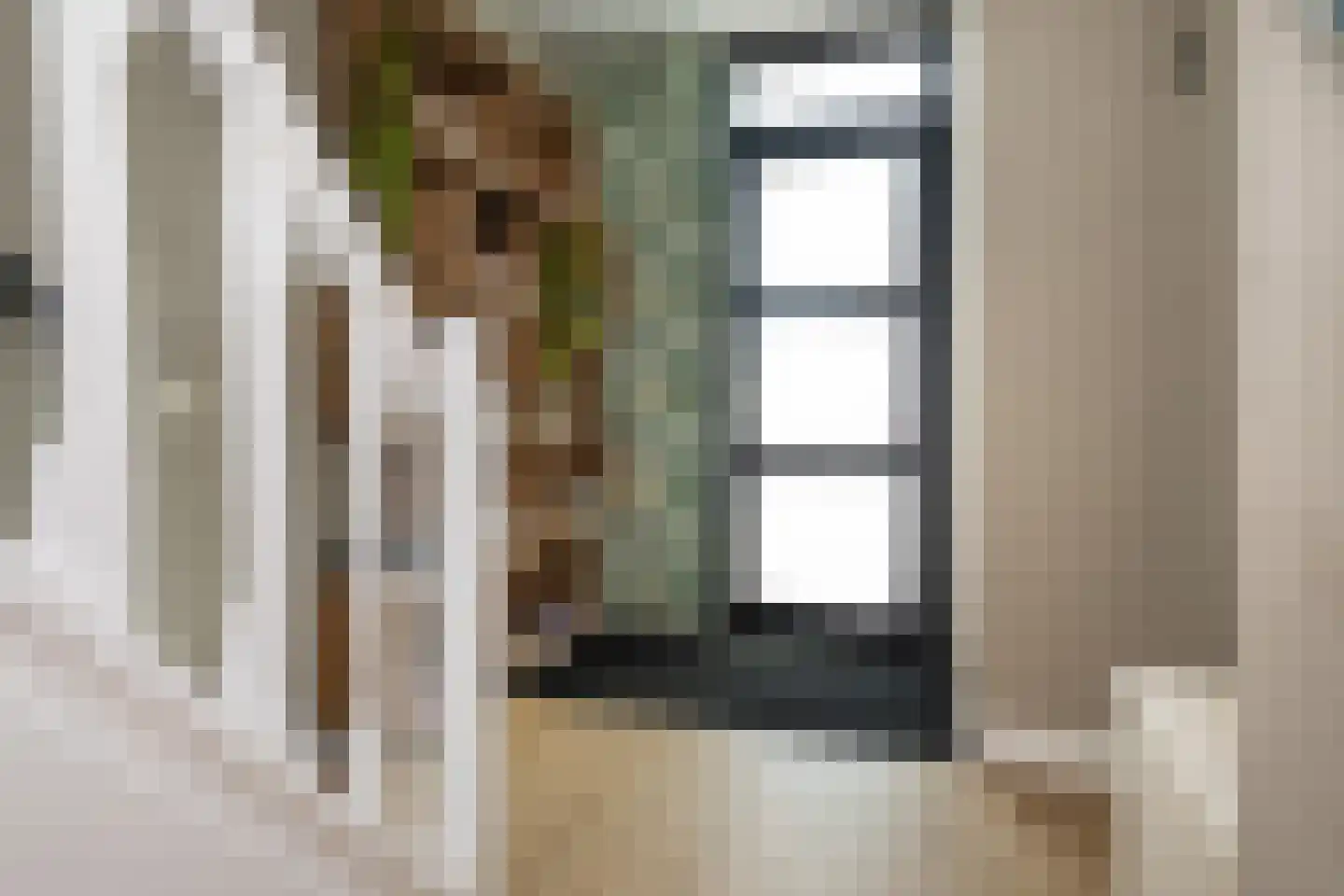 Koolmees 107 Sommelsdijk thumbnail 4