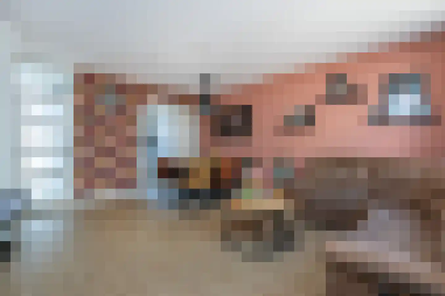 Koolmees 107 Sommelsdijk thumbnail 5