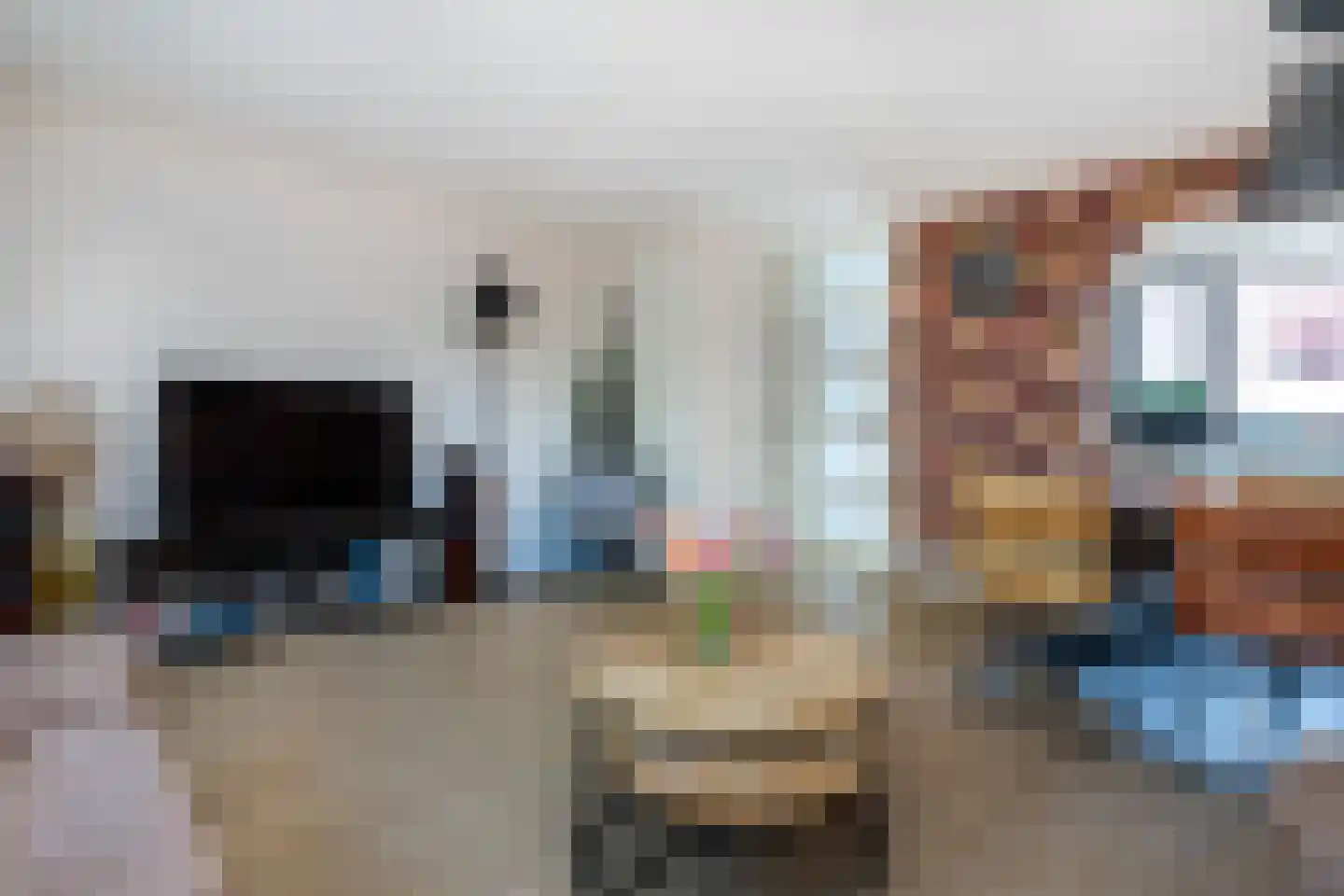 Koolmees 107 Sommelsdijk thumbnail 6
