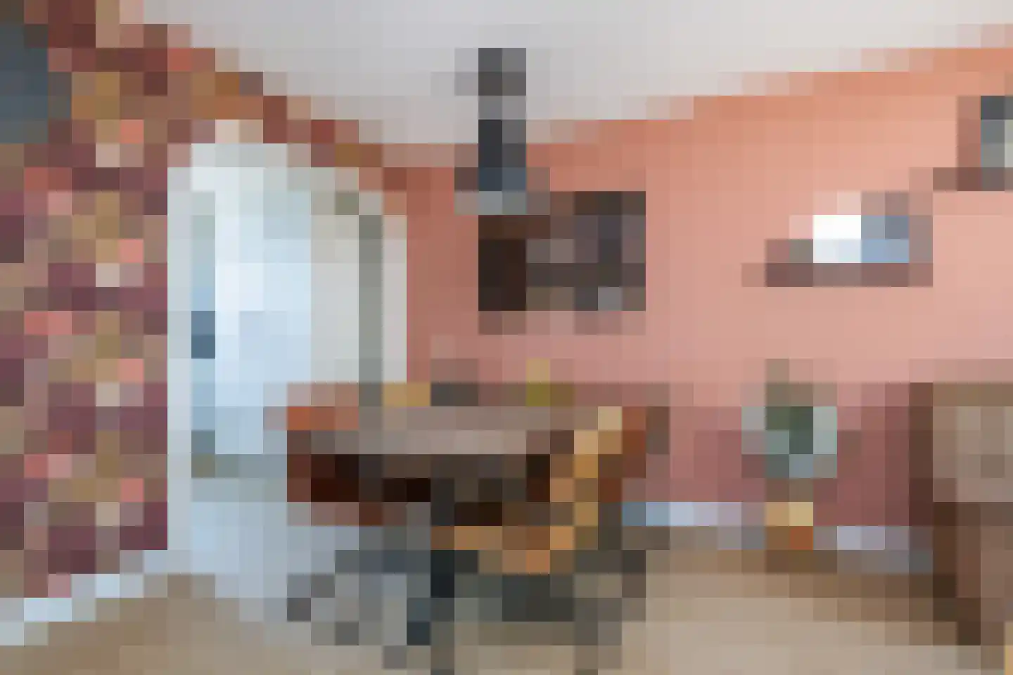 Koolmees 107 Sommelsdijk thumbnail 7