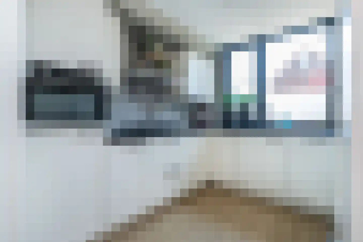 Koolmees 107 Sommelsdijk thumbnail 8