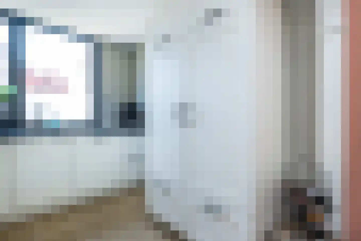 Koolmees 107 Sommelsdijk thumbnail 9