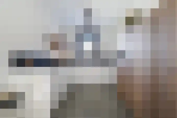 Koolmees 11 Kaatsheuvel thumbnail 10