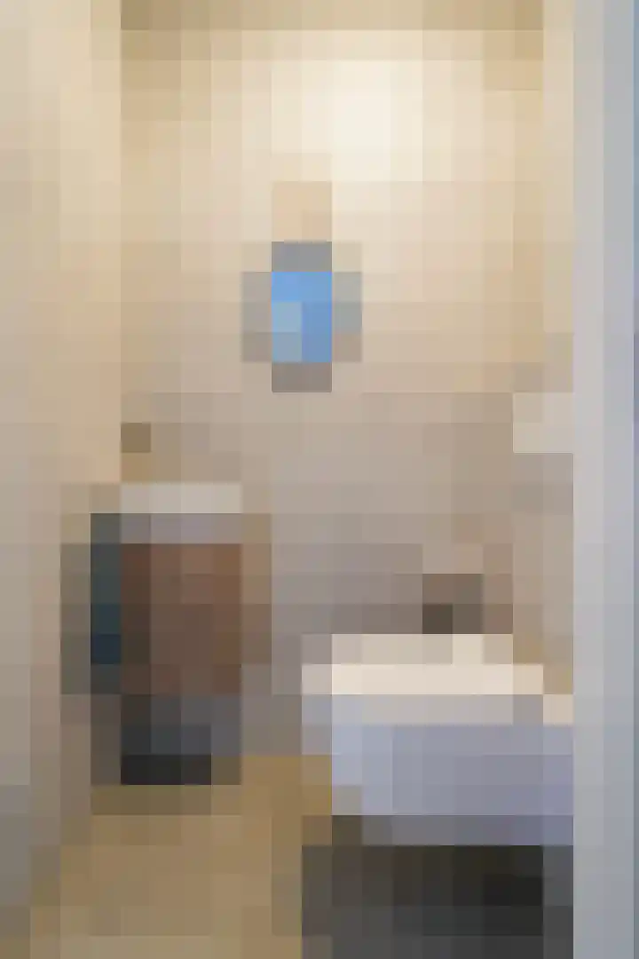 Koolmees 11 Kaatsheuvel thumbnail 13