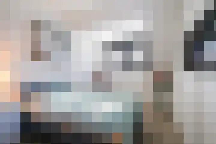 Koolmees 11 Kaatsheuvel thumbnail 16