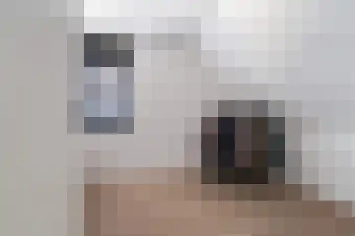 Koolmees 11 Kaatsheuvel thumbnail 18