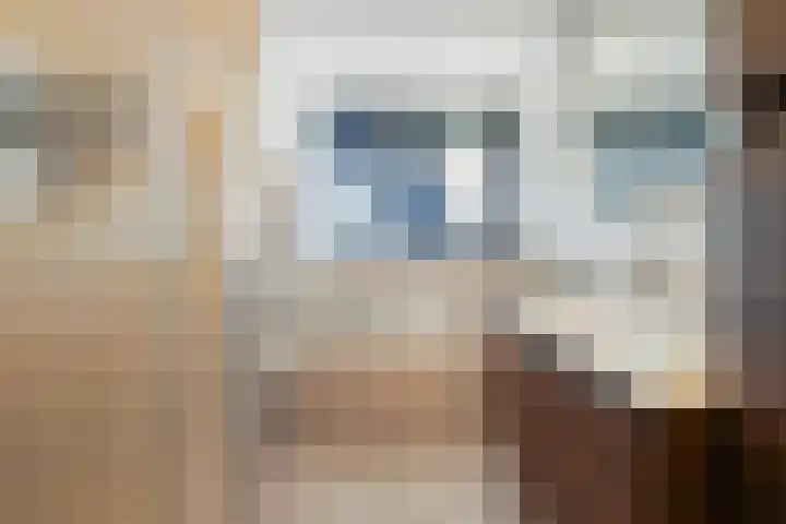 Koolmees 11 Kaatsheuvel thumbnail 21