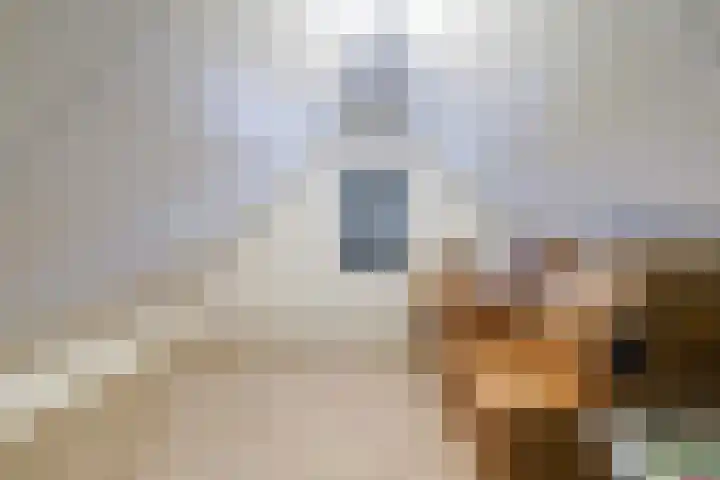Koolmees 11 Kaatsheuvel thumbnail 27