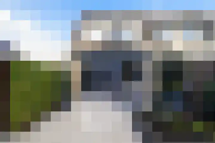 Koolmees 11 Kaatsheuvel thumbnail 29
