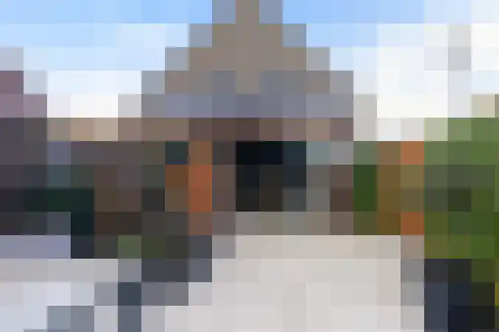 Koolmees 11 Kaatsheuvel thumbnail 30