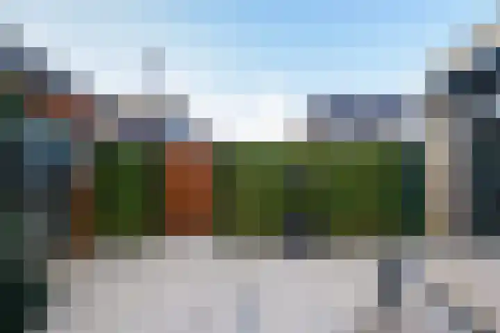 Koolmees 11 Kaatsheuvel thumbnail 31