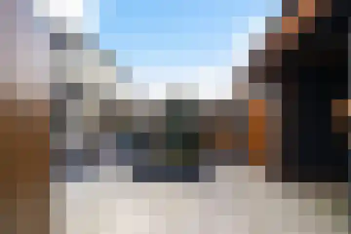 Koolmees 11 Kaatsheuvel thumbnail 32
