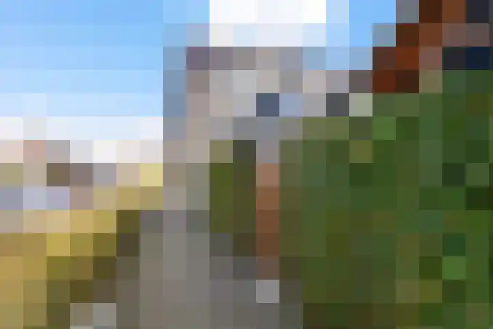 Koolmees 11 Kaatsheuvel thumbnail 33