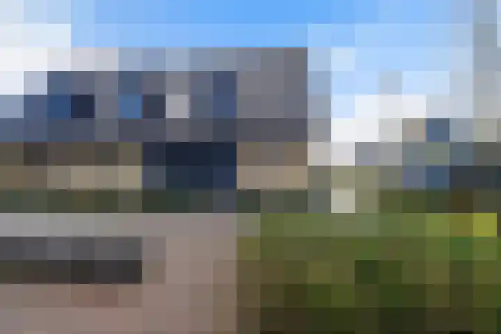 Koolmees 11 Kaatsheuvel thumbnail 4
