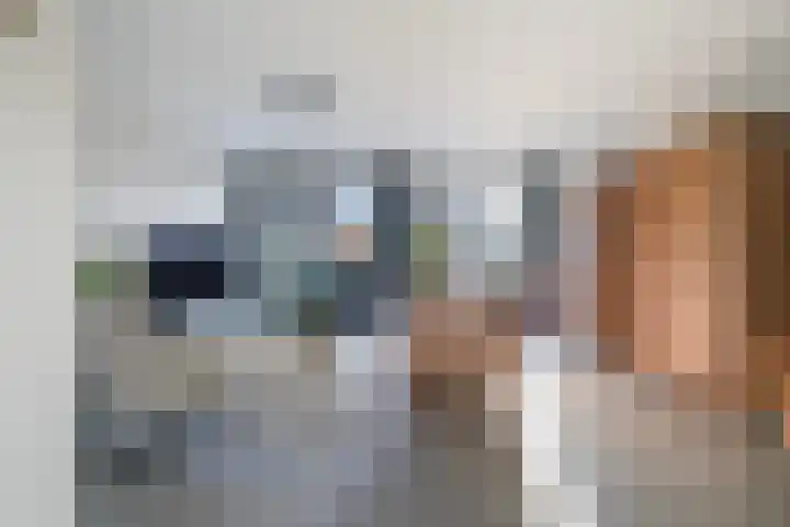 Koolmees 11 Kaatsheuvel thumbnail 6
