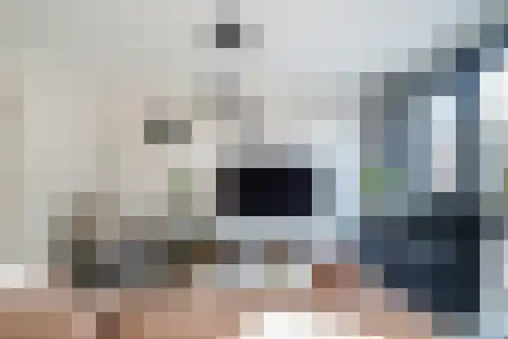 Koolmees 11 Kaatsheuvel thumbnail 7