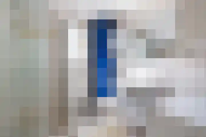 Koolmees 111 Ridderkerk thumbnail 18