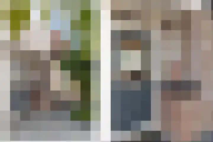 Koolmees 111 Ridderkerk thumbnail 22