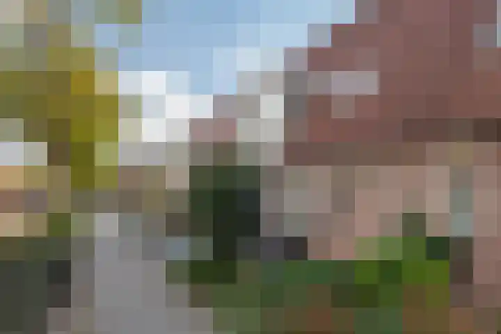 Koolmees 111 Ridderkerk thumbnail 23