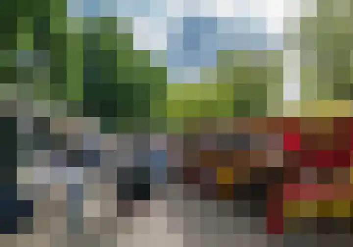 Koolmees 111 Ridderkerk thumbnail 30