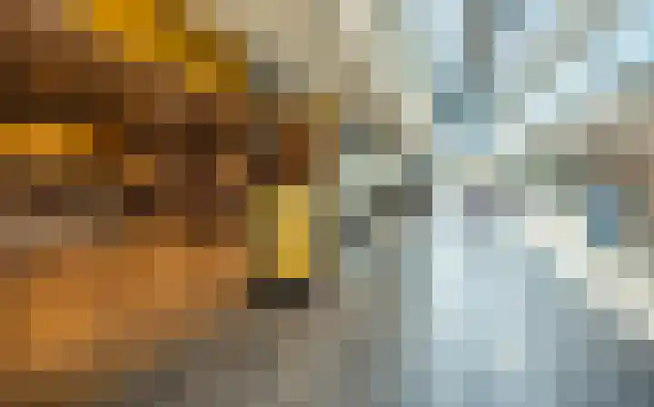 Koolmees 111 Ridderkerk thumbnail 31