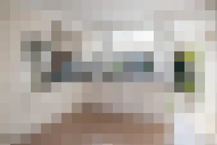 Koolmees 111 Ridderkerk thumbnail 4