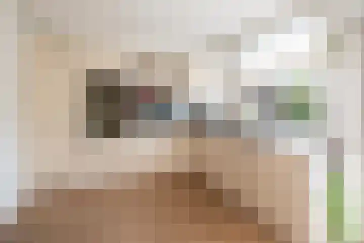 Koolmees 111 Ridderkerk thumbnail 5