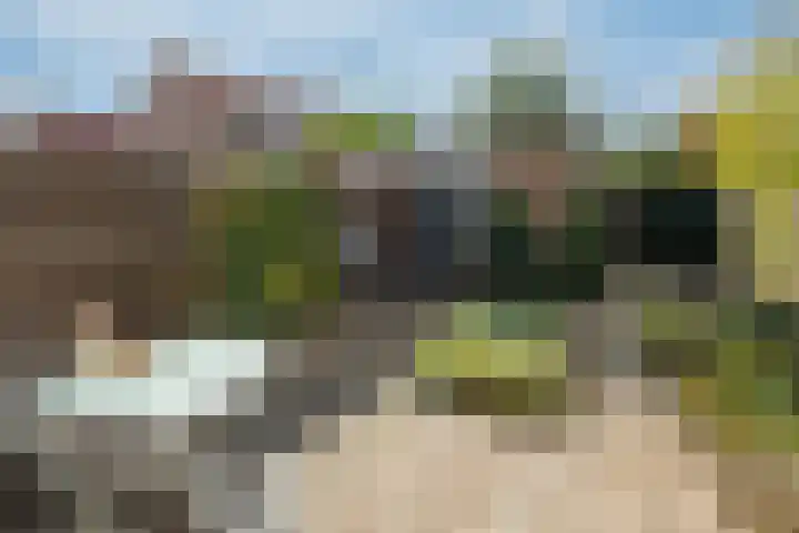 Koolmees 111 Ridderkerk thumbnail 6
