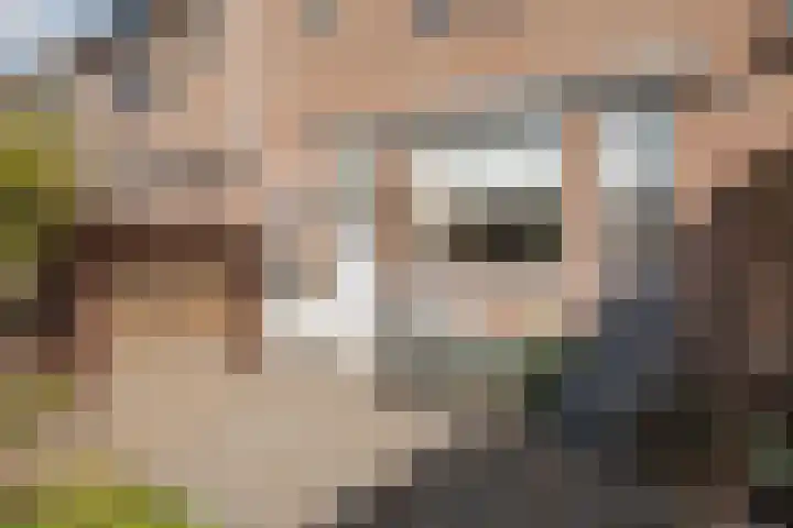 Koolmees 111 Ridderkerk thumbnail 7