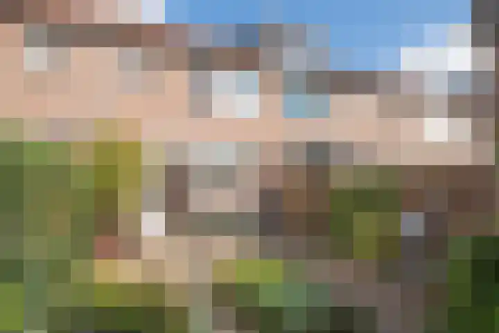 Koolmees 111 Ridderkerk thumbnail 8