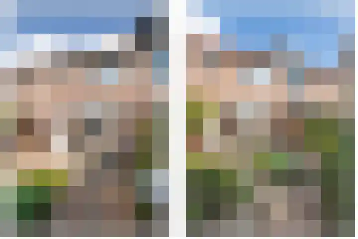 Koolmees 111 Ridderkerk thumbnail 9