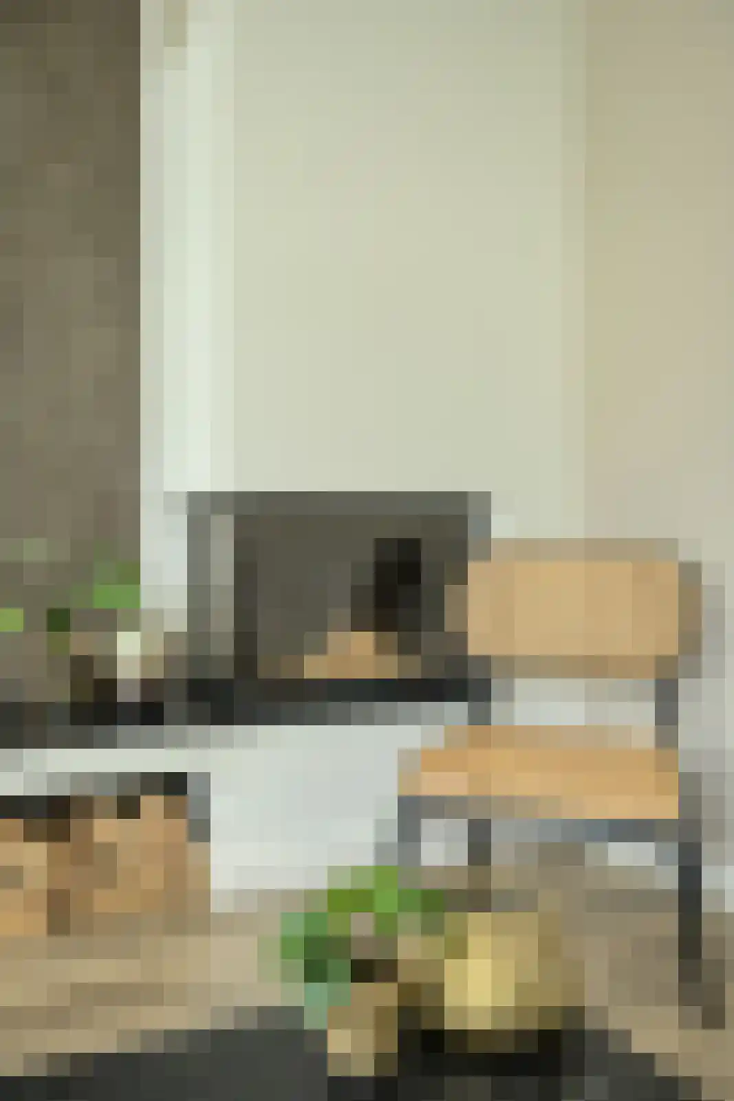Koolmees 12 Breda thumbnail 10
