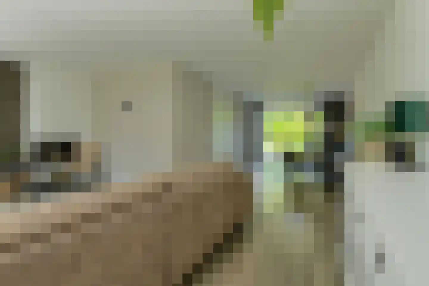 Koolmees 12 Breda thumbnail 13
