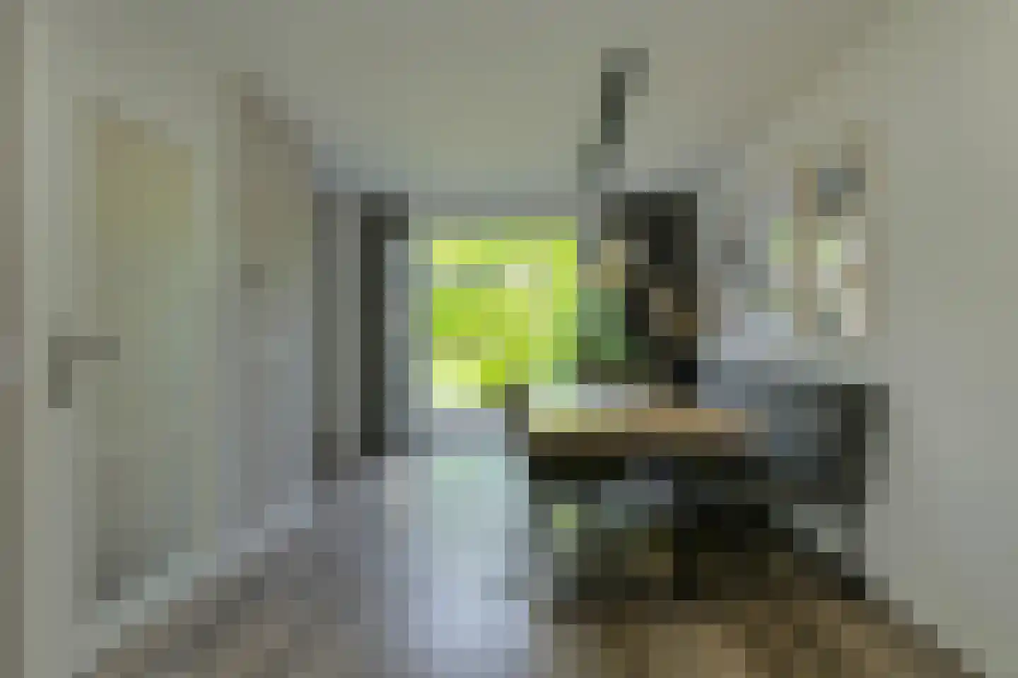 Koolmees 12 Breda thumbnail 14