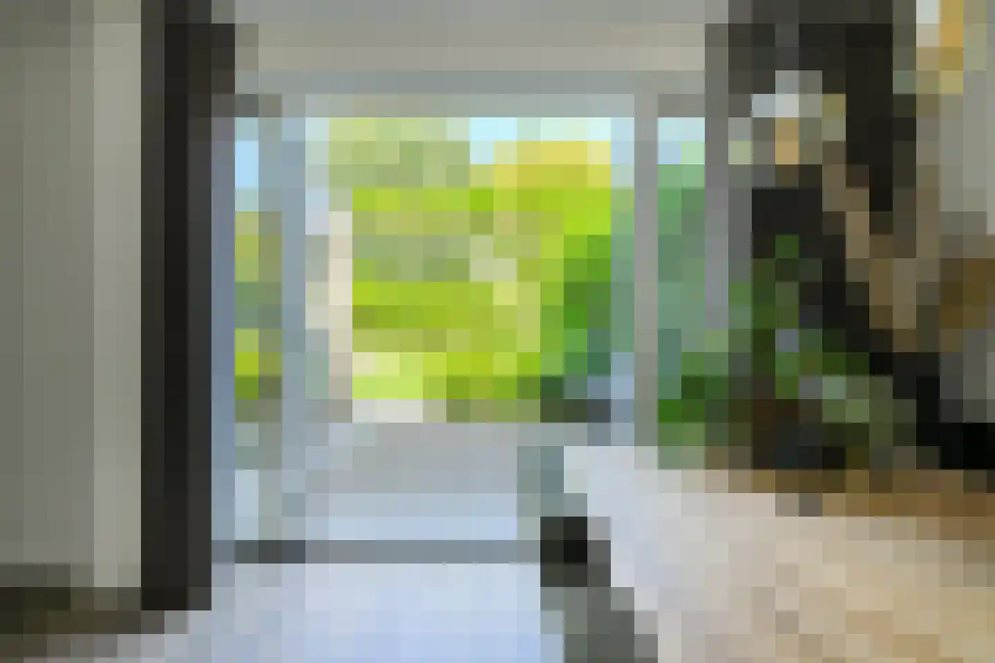 Koolmees 12 Breda thumbnail 16