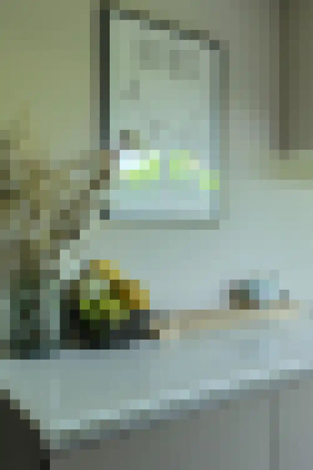 Koolmees 12 Breda thumbnail 20