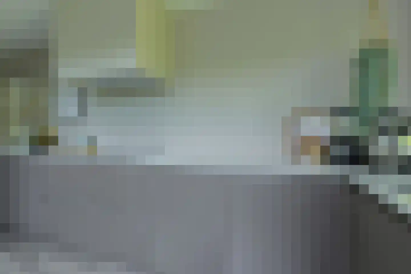 Koolmees 12 Breda thumbnail 23
