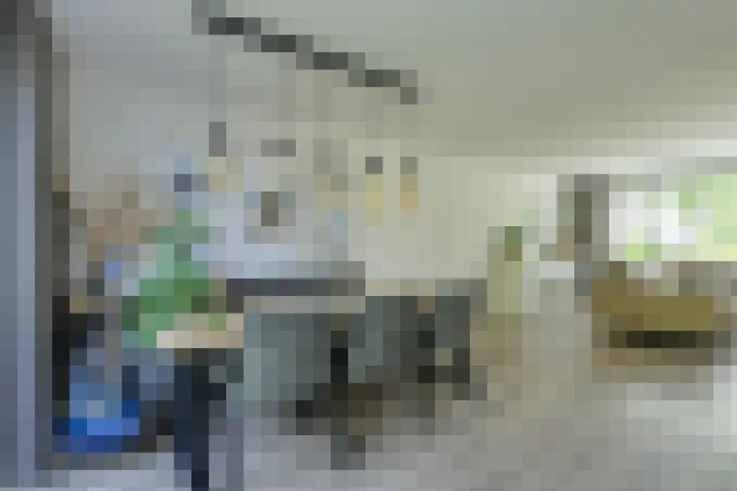 Koolmees 12 Breda thumbnail 26