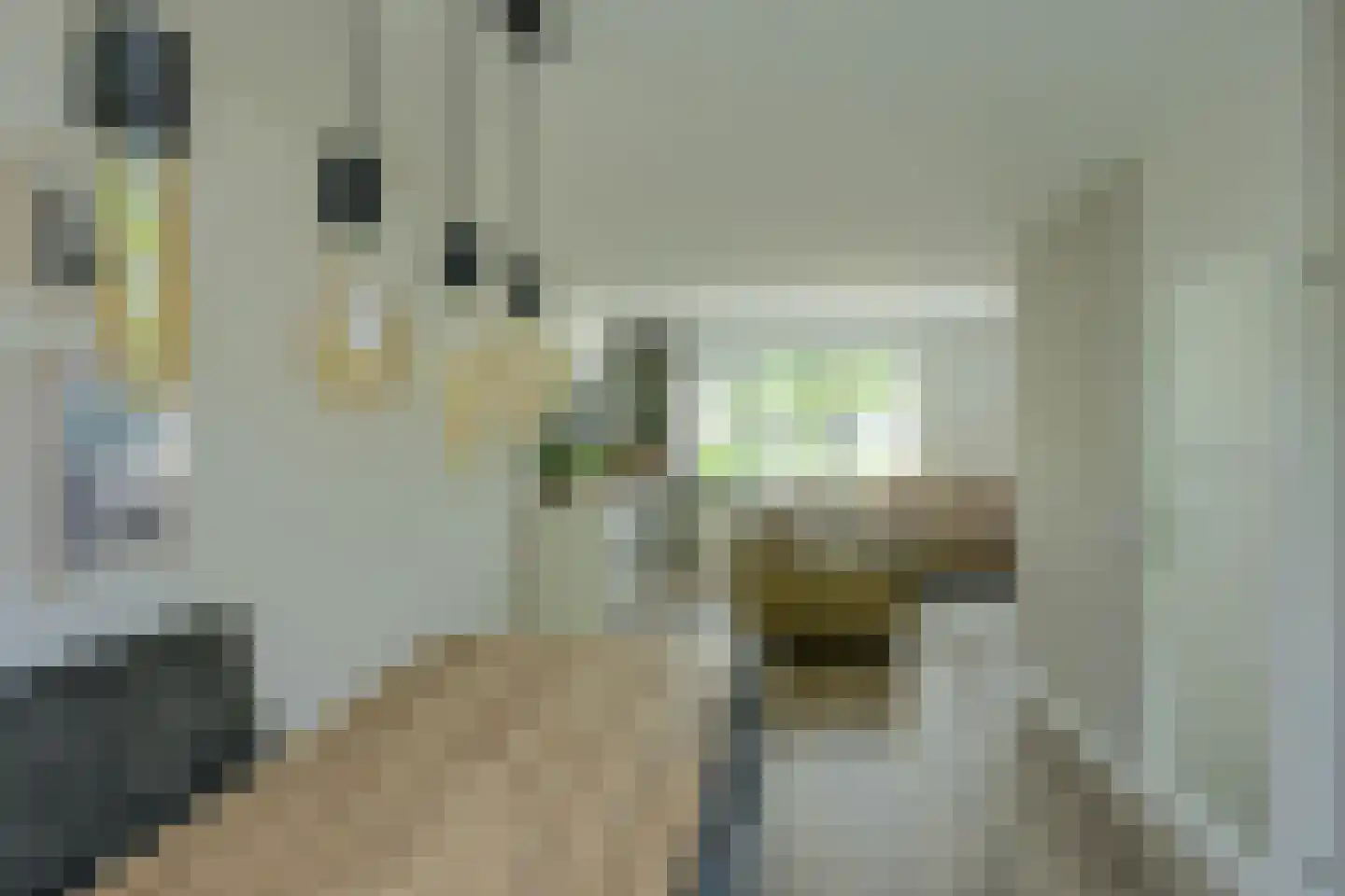 Koolmees 12 Breda thumbnail 27