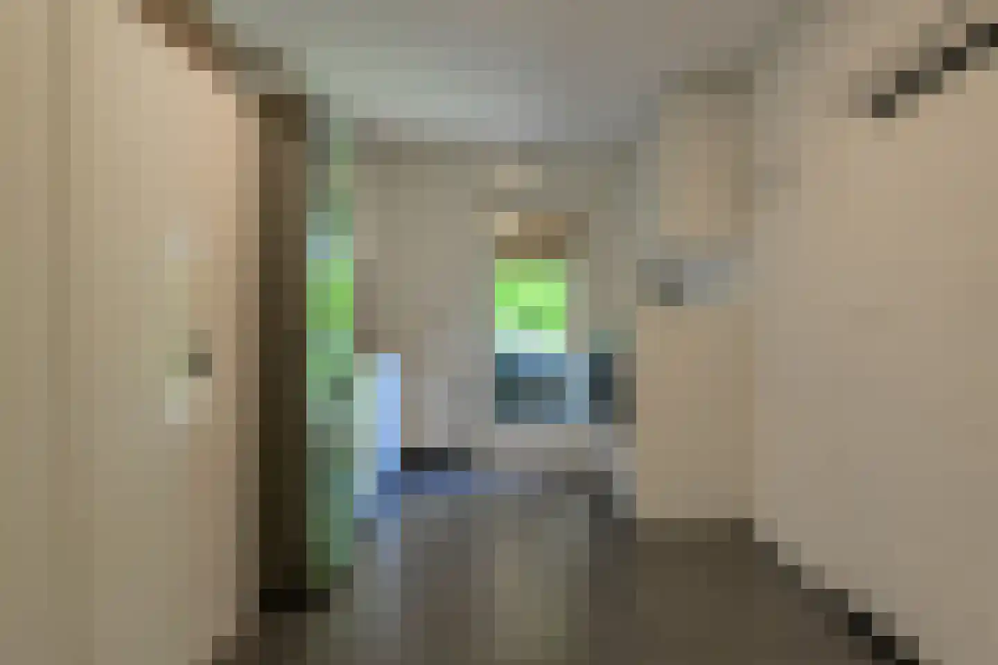 Koolmees 12 Breda thumbnail 28